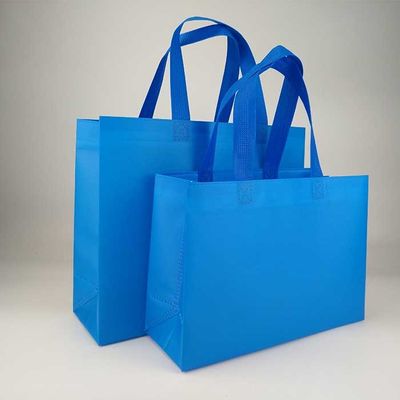 Saco de compras resistente Eco do polipropileno 80Gsm do rasgo amigável