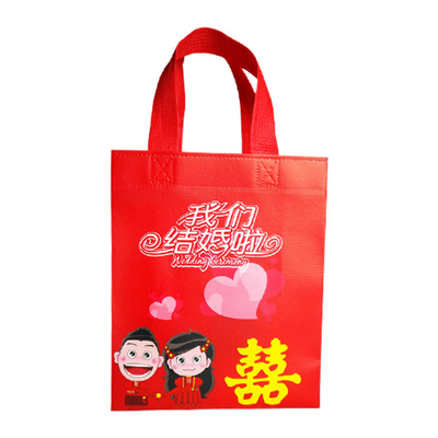 Polipropileno laminado a favor do meio ambiente Tote Bags For Shopping