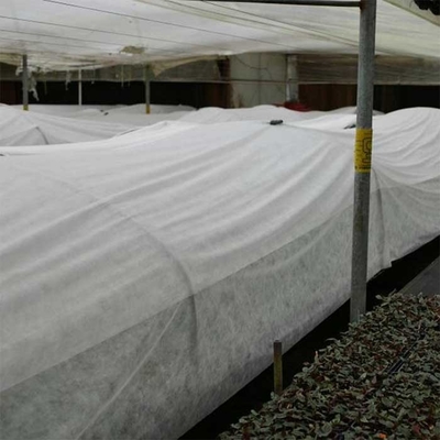 rasgo branco da tela de tecelagem não 190cm da agricultura 160gsm resistente